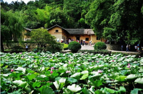 【伟人故里寻足迹】韶山铜像广场、毛主席故居、花明楼红色经典一日游